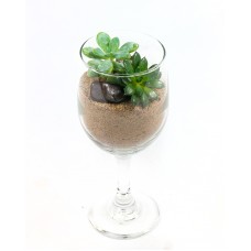 Wine Glass Succulent Garden